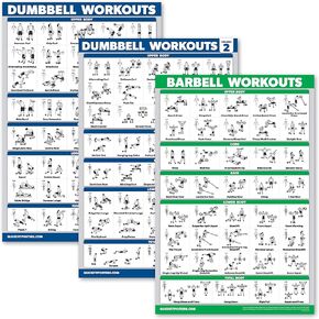 Palace Learning 3 Pack: Dumbbell Workouts Posters Volume 1 & 2 + Barbell Exercises - Set of 3 Workout Charts