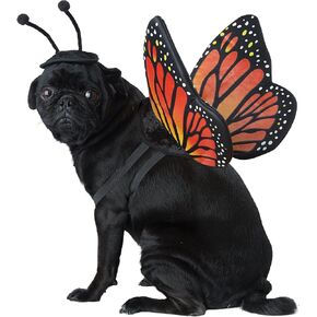 CALIFORNIA COSTUME COLLECTIONS Pet MONARCH BUTTERFLY Dog Costumes, Black/Orange, S Neck 12 -14 Girth 16 -20 Back US