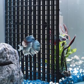 Pawfly 4 Pack Aquarium Fish Tank Divider, Plastic Aquarium Grid Divider, Egg Crate Divider Tray Grid Fish Tank Bottom Isolation Separator for Aquarium Fish and Plants, Black