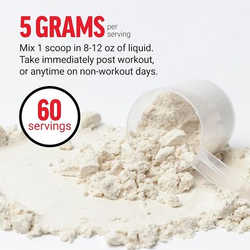 FORCE FACTOR Creatine Gummies, Creatine Monohydrate for Muscle Gain, More Strength, and Faster Recovery, Clinically Proven Creatine 5g Dose, Mixed Berry, 30 Servings in Saudi Arabia