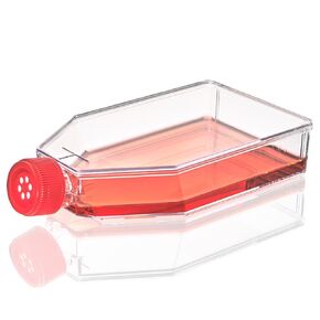 Diamond SureGro Cell Culture Flask, Tissue Culture Treated, 182cm2, Vent Cap, Sterile, 5/Bag, 40/Case