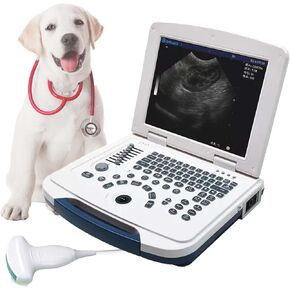 Veterinary Ultrasound Scanner Laptop Ultrasound Machine with 3.5Mhz Convex Probe for Animals Dog,Goat,Pig,Sheep use