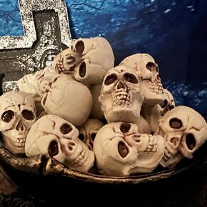 GiftExpress 12pcs Skulls Human Head Skull Realistic Skeleton Skulls for Halloween Table Décor (Mini Sized Skull) (12pcs)
