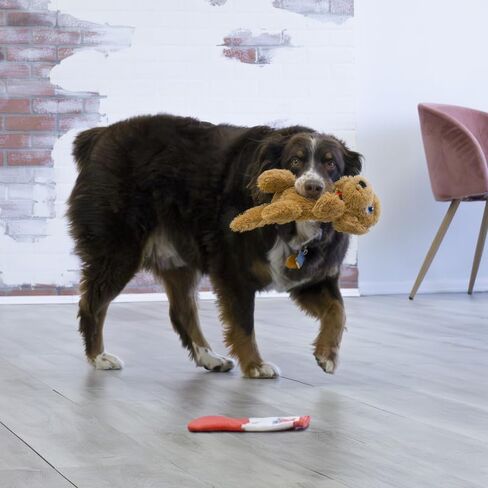 KONG Comfort Pups Low Stuffing Plush Fur and Crinkly Noise with Squeaker (Small, Pierre) in Saudi Arabia