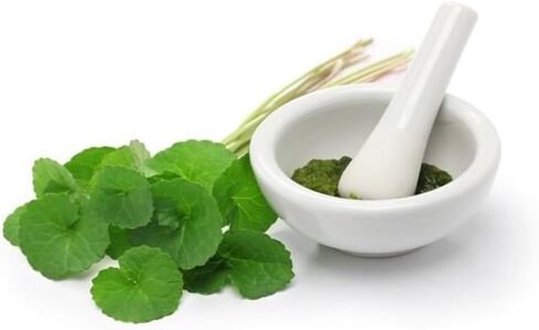(Pack of 2) Organic Centella Asiatica Powder (50g) in Saudi Arabia