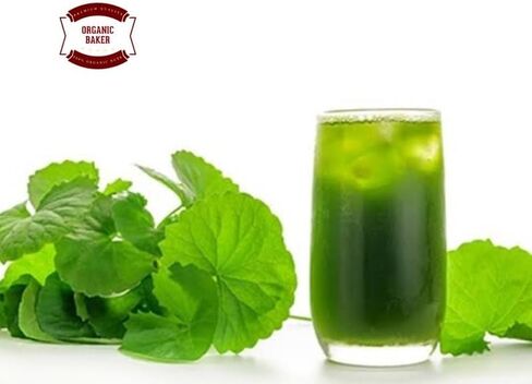 (Pack of 2) Organic Centella Asiatica Powder (50g) in Saudi Arabia