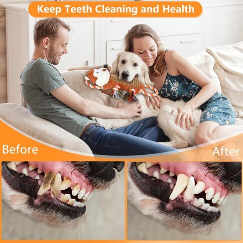 ألعاب الكلاب الكبيرة التي تصدر صوت صرير للمضغ العدواني، ألعاب شد الجرو التفاعلية مع حبل سحب، ألعاب مضغ للكلاب الأليفة من القطيفة القوية للكلاب الصغيرة والمتوسطة والكبيرة in Kuwait