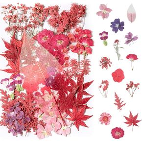 Red Dried Pressed Flowers - Bupduq Dry Flowers for for Crafts, Resin, Nail, Flower Natural Dried Fillers for Resin Accessories, Crafts Decoration/ DIY Soap Candles Making/Scrapbooking