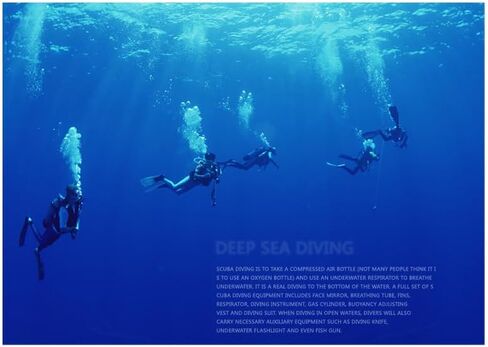 Diving Regulator with 75cm Hose - Secondary Diving Breathing Apparatus, Seawater-Resistant, Rust-Proof Design, Food-Grade Safe Materials, Easy to Clean, Black in Saudi Arabia