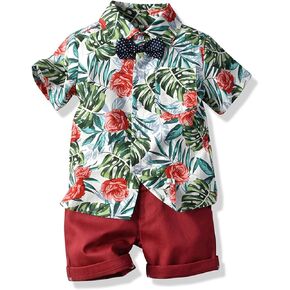 Winmany Boys Hawaiian Outfits Infant Kids Tropical Floral Print Clothes Summer Shirts and Shorts Beachwear