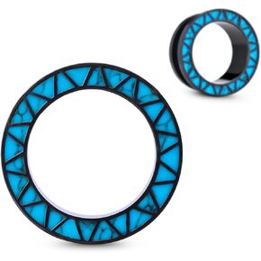 2PCS Stainless Steel Ear Tunnels Gauges for Ears Screw Fit Tunnels Ear Plugs Expander Hangers Earrings Piercing Jewelry