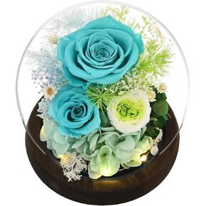 Gifts for Women Mom Grandma, Preserved Flowers in Glass Dome with LED Light, Pink Roses Gifts on Birthday, Christmas, Valentines Day for Girls, Wife, Friends (Pink)