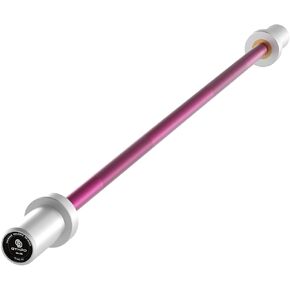 5LB Beginner Mini Barbell Bar, GYHPD 100lbs Weight Capacity Olympic Barbell Straight Bar for Beginner Women Kid, Body Workout Weight Bar, for Weightlifting Powerlifting Training
