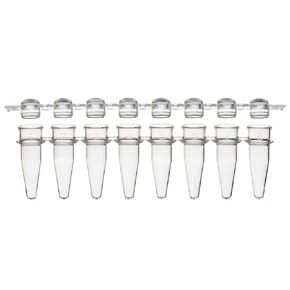 Globe Scientific PCR-STR-02D PCR Tube with Separate 8-Strip Clear Dome caps, 8-Strip, Natural, 0.2mL Capacity, Pack of 1250