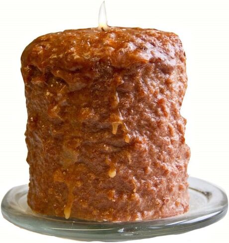 Warm Glow Candle Company Carrot Cake Hearth Candle w/Tin in Saudi Arabia