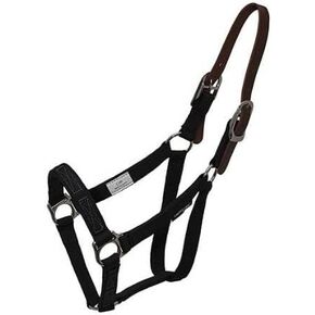 Thinline Turnout Halter for Grazing Muzzle