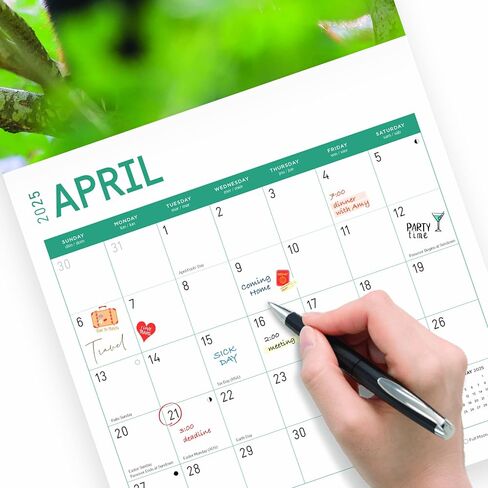 2023 Red Pandas Wall Calendar by Bright Day, 12x12 Inch, Beautiful Cute Wildlife Photography in Saudi Arabia