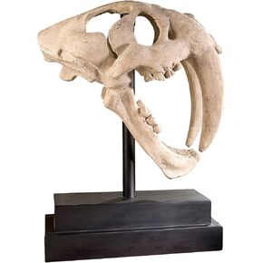 Design Toscano Inc 20.5H in. Saber-toothed Tiger Skull Artifact