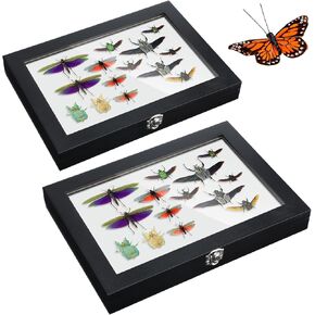 2 Pcs Large Insect Display Cases with Clear Top, 12.2 x 8.66 x 1.57 in Butterfly Display Cases with EVA Foam Pinning Board Insect Shadow Boxes for Collecting Butterfly Specimen (Black)