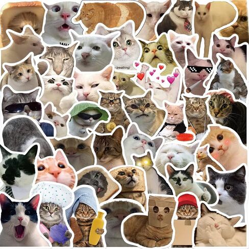 50PCS Frog Stickers Cartoon Vinyl Waterproof Stickers for Laptop,Guitar,Motorcycle,Bike,Skateboard,Luggage,Phone, Gift for Kids Teen Birthday Party in Saudi Arabia