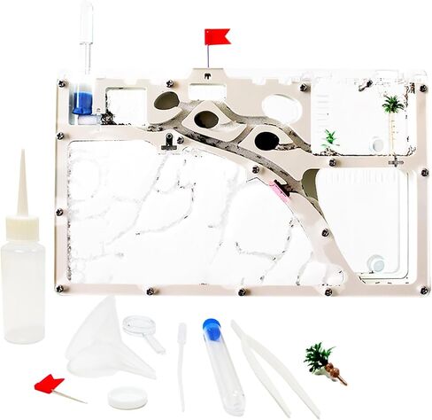 Sand Ant Farm Castle for Kids,Large Ant Habitat to Study Insect Behavior,Ant Colony Ecosystem Science Educational Gift for classroom in Kuwait