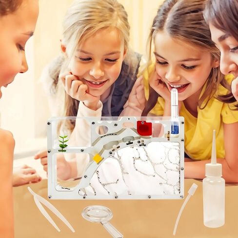 Sand Ant Farm Castle for Kids,Large Ant Habitat to Study Insect Behavior,Ant Colony Ecosystem Science Educational Gift for classroom in Kuwait