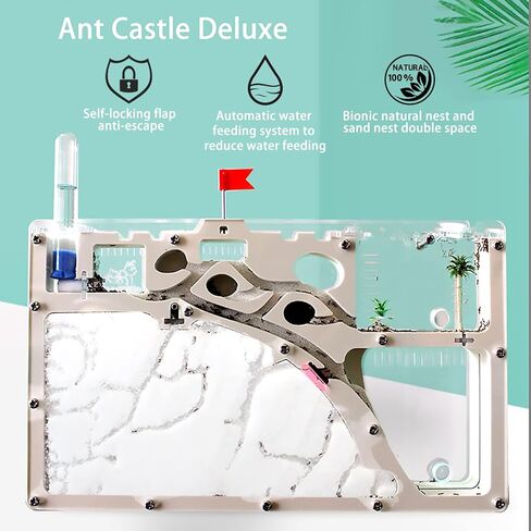 Sand Ant Farm Castle for Kids,Large Ant Habitat to Study Insect Behavior,Ant Colony Ecosystem Science Educational Gift for classroom in Kuwait