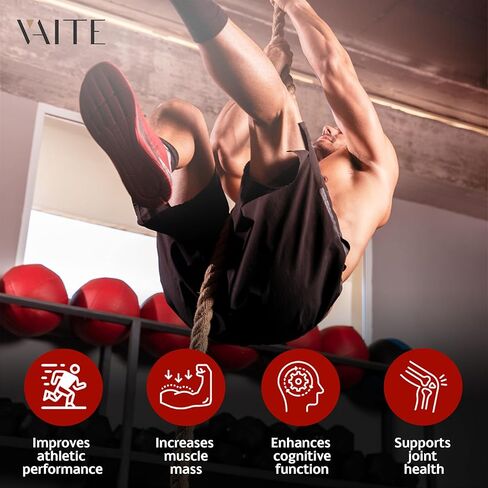 تريبولوس تيريستريس للرجال والنساء علكات 1000 ملغ - مكمل لدعم نمط الحياة النشط، ودعم الطاقة، وتعزيز الذكور والقدرة على التحمل، ويساعد على الحفاظ على الحيوية، ويدعم اللياقة البدنية in Kuwait