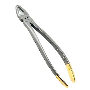Dental Extracting Extraction Serrated Forceps F1, for Upper Anterior Region, Premium Quality Gold Handle, Stainless Steel
