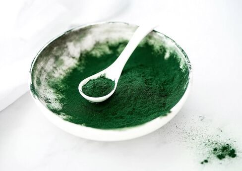 Food to Live Organic Algae Powder Mix, 2 Pounds – Spirulina and Chlorella 50/50 Blend, Non-GMO, Rich in Chlorophyll, Raw, Pure, Vegan Superfood, Bulk, Great for Smoothies, Good Source of Protein in Saudi Arabia