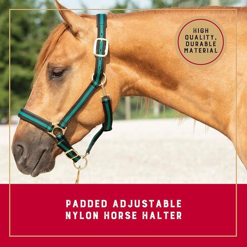Weaver Leather Basic Adjustable Nylon Halter, Hunter Green, 1" Large Horse in Saudi Arabia