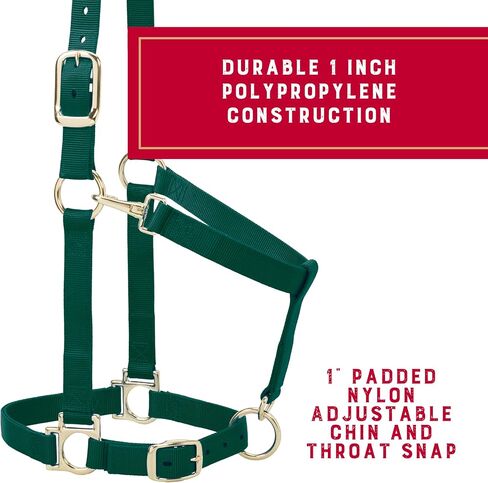 Weaver Leather Basic Adjustable Nylon Halter, Hunter Green, 1" Large Horse in Saudi Arabia