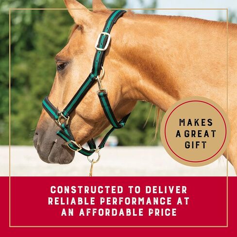 Weaver Leather Basic Adjustable Nylon Halter, Hunter Green, 1" Large Horse in Saudi Arabia