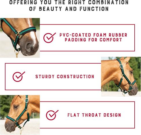 Weaver Leather Basic Adjustable Nylon Halter, Hunter Green, 1" Large Horse in Saudi Arabia