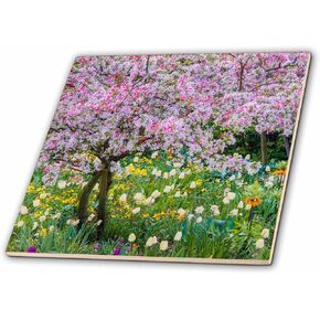 3dRose France, Giverny. Springtime in Claude Monets Garden. -Ceramic Tile, 6-inch (ct_210032_2), Multicolor