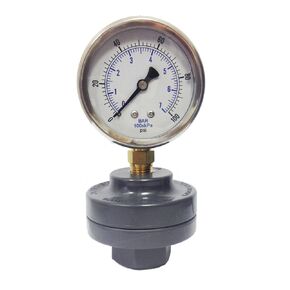 KC201L25100/GGTS1-PV Pressure Gauge on PVC/PTFE Gauge Guard 100 PSI