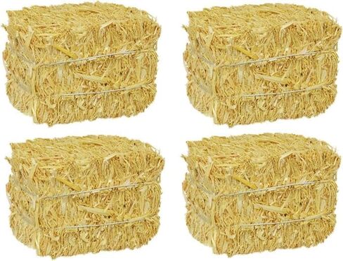 Mini Straw Hay Bales for Autumn Harvest Fall Craft Decoration, 4 Pieces, 2.5 x 2.5 x 3.5 in in Saudi Arabia