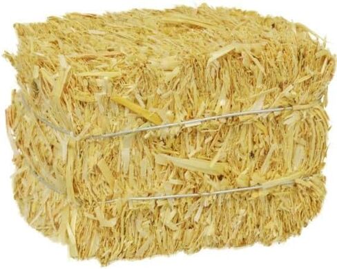 Mini Straw Hay Bales for Autumn Harvest Fall Craft Decoration, 4 Pieces, 2.5 x 2.5 x 3.5 in in Saudi Arabia