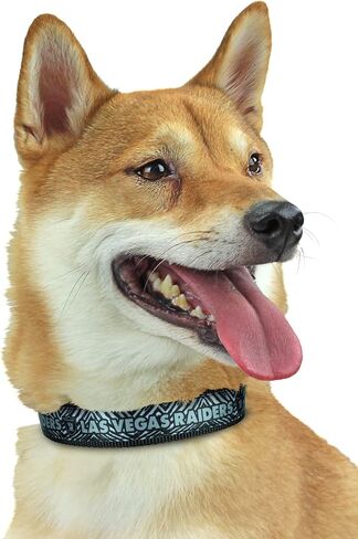 Zubaz NFL Team Adjustable Pet Collar for Dogs & Cats, Arizona Cardinals, Large in Saudi Arabia