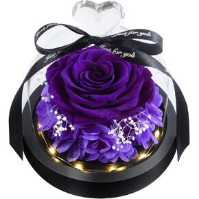 Preserved Pink Real Rose with LED Light eternal flowers rose gifts for Mom Grandma Wife girlfriend on Mothers Day Birthday Valentines Christmas and Thanksgiving.Preserved Roses in Gift Box（ Pink Rose）