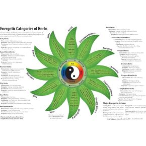 Herbal Energetic Categories Laminated Chart, 11x17 inches in Saudi Arabia
