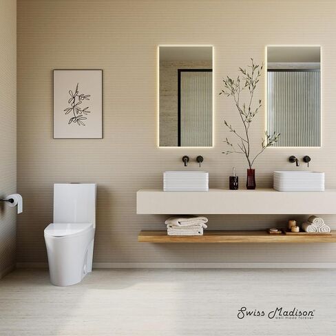 St. Tropez One-Piece Elongated Toilet, 14" Rough-In 1.1/1.6 gpf in Saudi Arabia