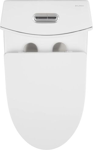 St. Tropez One-Piece Elongated Toilet, 14" Rough-In 1.1/1.6 gpf in Saudi Arabia