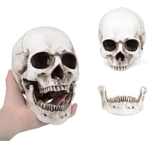 Retro Human Skull Replica Resin Anatomical Model Medical Lifesize Realistic 1:1