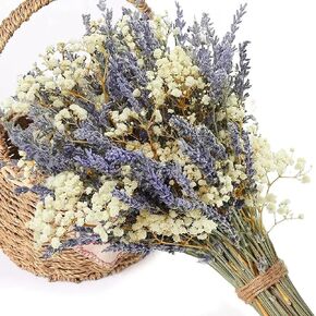 Dried Lavender & Baby's Breath Flowers Bundles, 2 Bunches Dried Flower Bouquet for Vase, Natural Gypsophila for Home, Wedding, Photography, Floral Arrangement, DIY