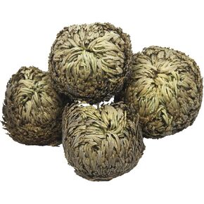 4 Pack Rose of Jericho Dried Plants Rosa de Jerico Original Dried Fern Like Scale Leaf Prayer Plants for Spiritual Purification Home Decor Vase Filler ldeal Present for Plant Lovers