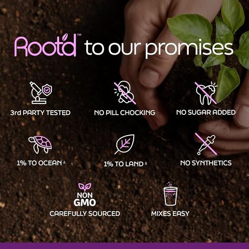 Root'd Prenatal Multivitamin Powder - 25 Vitamins & Minerals with 3x Electrolytes, Folate, Iron, D3 for Mom & Baby, 7 Superfood & Probiotics, Sugar-Free Vitamins & Hydration | 30 Vitamin Drink Packets in Saudi Arabia