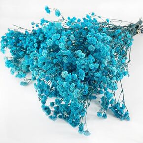 Preserved Baby's Breath, 100% Natrual Gypsophila Long Lasting Flowers for Vase Arrangements Home Decoration Photo Props Parties and Weddings, DIY Décor-Purple