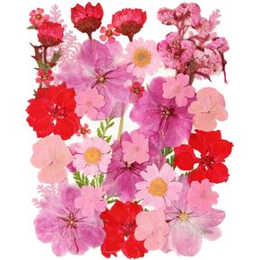 35 Pcs Dried Pressed Flowers for Resin, Pink Real Pressed Flowers Bulk Natural Herbs Kit for Scrapbooking DIY Art Crafts, Epoxy Resin Jewelry Molds, Candle, Soap Making, Nails Décor