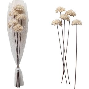Creative Co-Op Dried Natural Sesame Flower Bunch, Cream